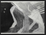 abstract-graphic-fossile