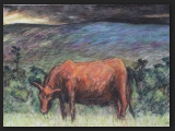 brown-cow-at-mulfra